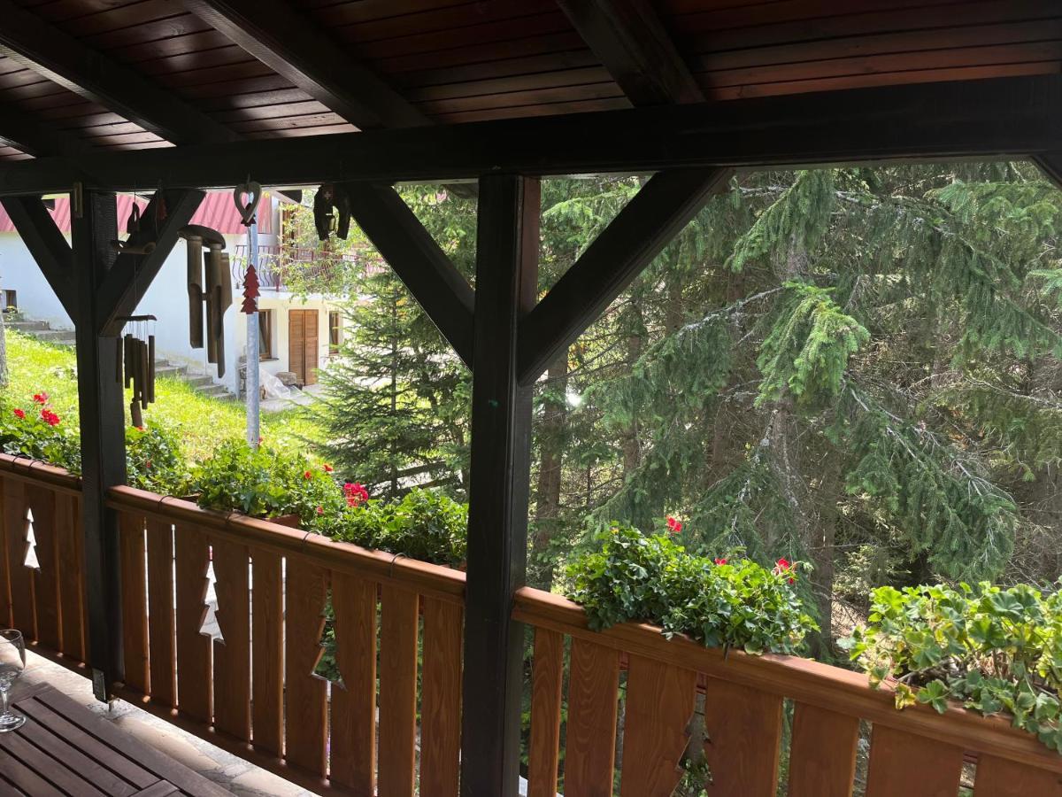 Vila Idila Zabljak  Exterior photo